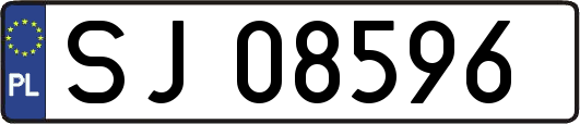 SJ08596