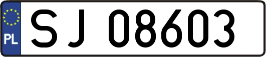 SJ08603