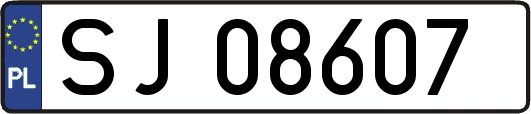 SJ08607