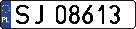 SJ08613