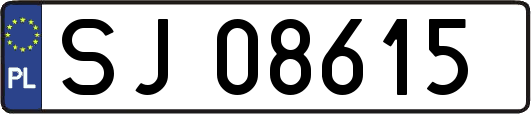 SJ08615