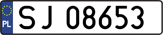 SJ08653