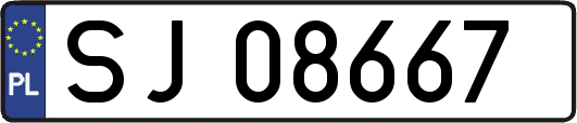 SJ08667