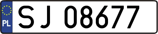 SJ08677