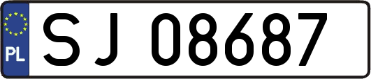 SJ08687
