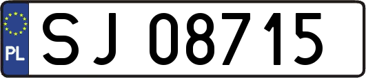 SJ08715