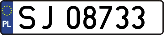 SJ08733