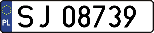 SJ08739