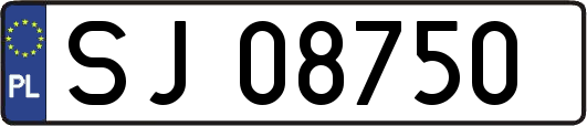 SJ08750