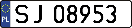 SJ08953