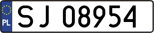 SJ08954