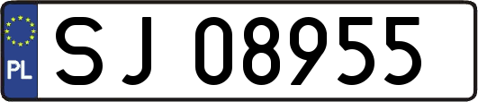 SJ08955