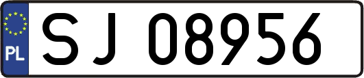 SJ08956