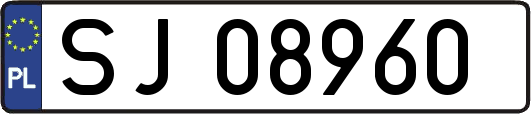 SJ08960