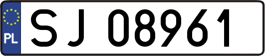 SJ08961