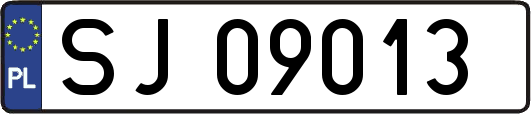 SJ09013