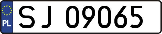 SJ09065