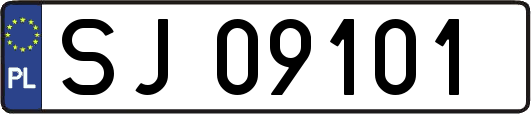 SJ09101