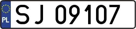 SJ09107