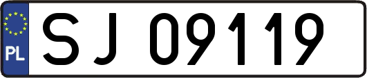 SJ09119