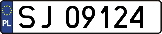 SJ09124