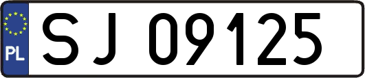 SJ09125