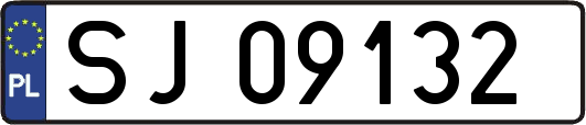 SJ09132