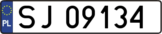 SJ09134