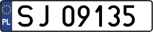 SJ09135