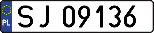 SJ09136