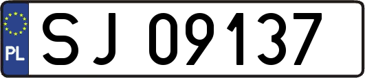 SJ09137