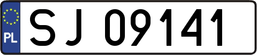 SJ09141