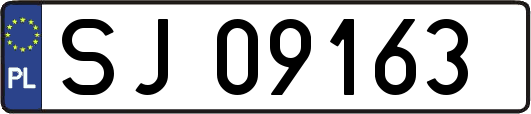 SJ09163