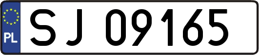 SJ09165