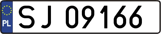 SJ09166