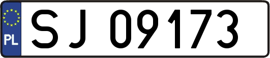 SJ09173