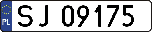 SJ09175