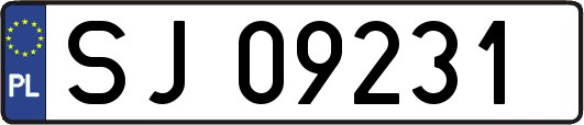 SJ09231