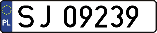 SJ09239