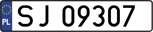 SJ09307