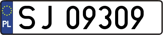 SJ09309