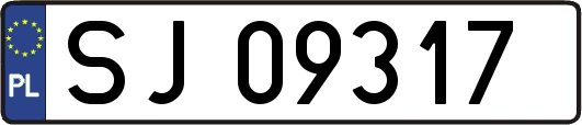 SJ09317