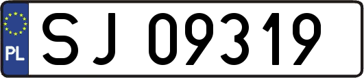SJ09319