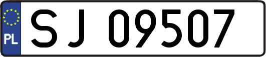 SJ09507
