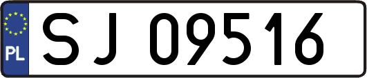 SJ09516