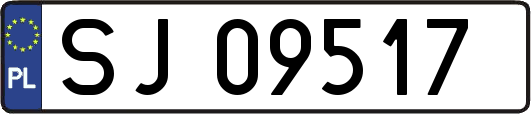 SJ09517