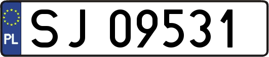 SJ09531