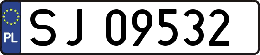 SJ09532