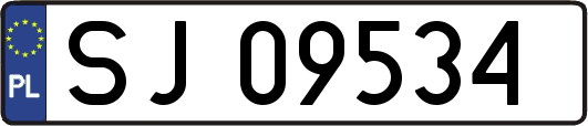 SJ09534