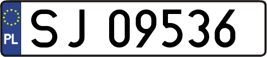 SJ09536